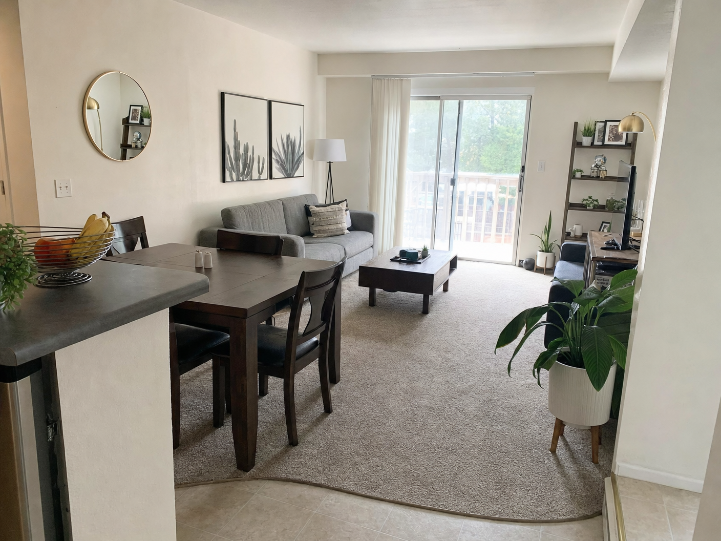 Apartment Living Cleaning